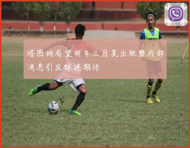塔图姆有望明年三月复出联盟内部消息引发球迷期待