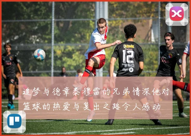 追梦与德章泰穆雷的兄弟情深他对篮球的热爱与复出之路令人感动