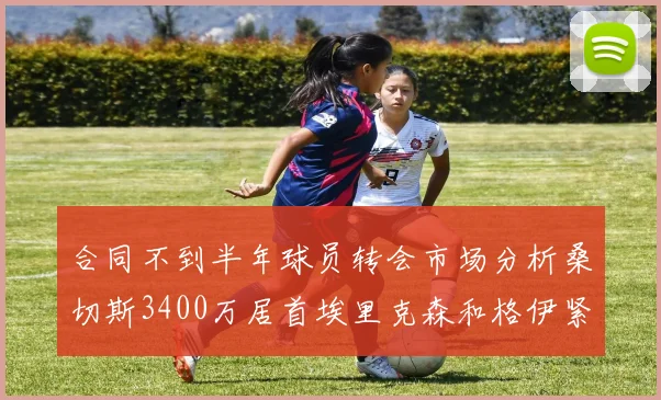 合同不到半年球员转会市场分析桑切斯3400万居首埃里克森和格伊紧随其后