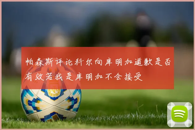 帕森斯评论科尔向库明加道歉是否有效若我是库明加不会接受